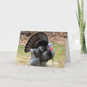 Cartes Pour Fêtes Annuelles Turquie sauvage