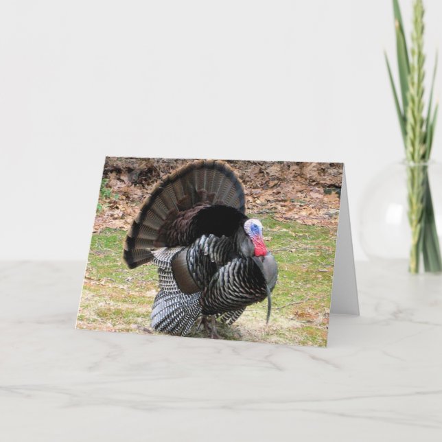 Cartes Pour Fêtes Annuelles Turquie sauvage (Devant)