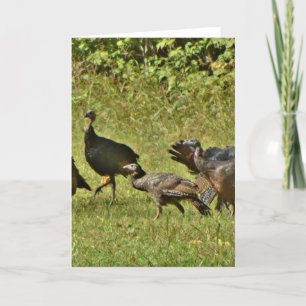 Cartes Pour Fêtes Annuelles Turquie sauvage, couleurs du Camouflage