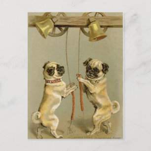 Cartes Pour Fêtes Annuelles Two pug dogs ringing the Christmas bells