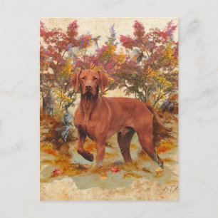 Cartes Pour Fêtes Annuelles Un aristocrate polyvalent dans la Vizsla hongroise