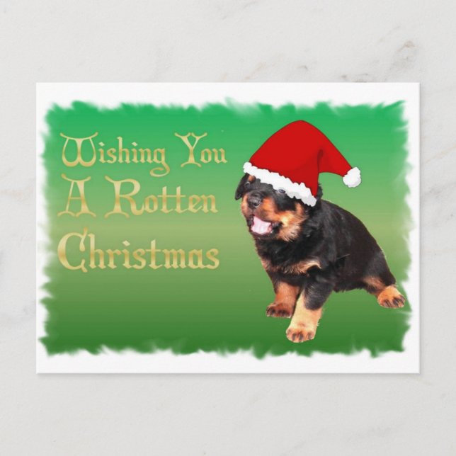 Cartes Pour Fêtes Annuelles Un autre Noël pourri (Devant)