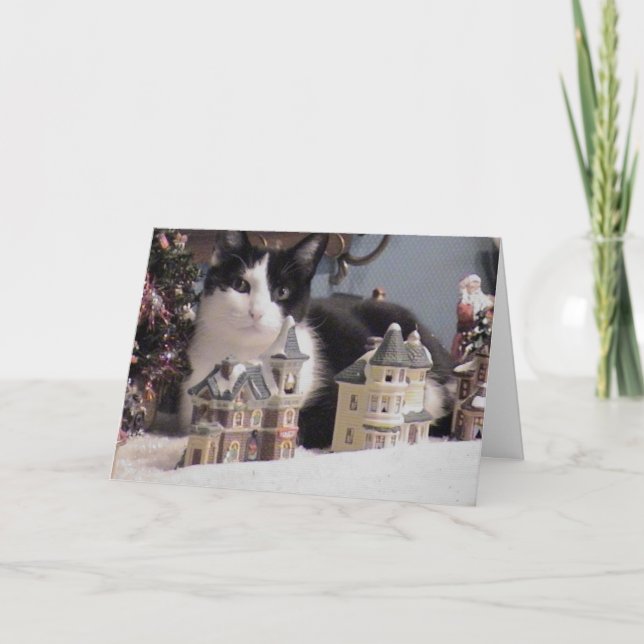 Cartes Pour Fêtes Annuelles Un Boo Boo Noël (Devant)