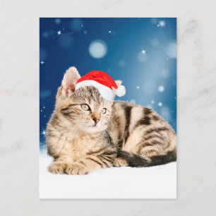 Cartes Pour Fêtes Annuelles Un chat mignon portant un chapeau de Père Noël rou