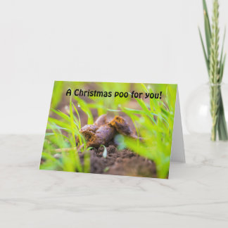 Cartes Pour Fêtes Annuelles Un chien de Noël pour vous