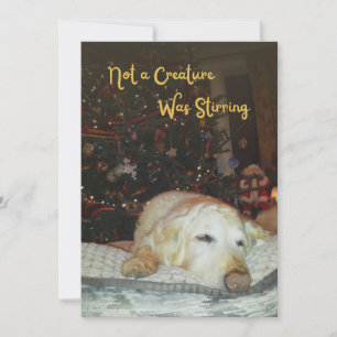 Cartes Pour Fêtes Annuelles Un chien endormi pas une créature était Stirring N