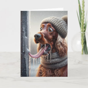 Cartes Pour Fêtes Annuelles Un Chien Irlandais Qui Lève Un Polonais Froissé