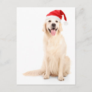 Cartes Pour Fêtes Annuelles Un chien portant un Casquette de Noël