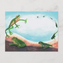 Un cycle de vie étonnant d'une grenouille
