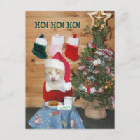 Un drôle De Chat Mange Du Père Noël Snack