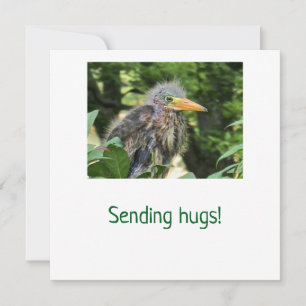 Cartes Pour Fêtes Annuelles Un héron vert