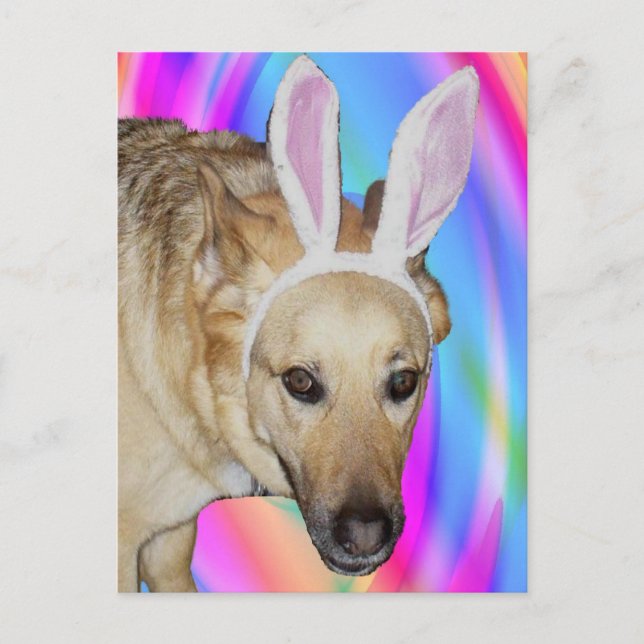 Cartes Pour Fêtes Annuelles Un lapin de Pâques ? (Devant)