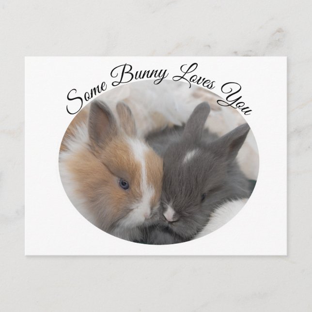 Cartes Pour Fêtes Annuelles Un Lapin T'Aime (Devant)