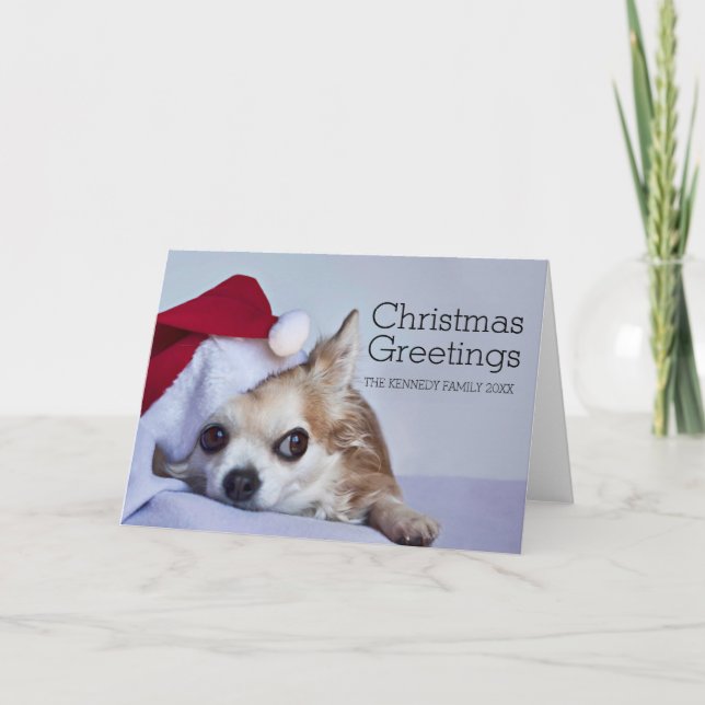 Cartes Pour Fêtes Annuelles Un long chiwawa de cheveux de 6 ans (Devant)