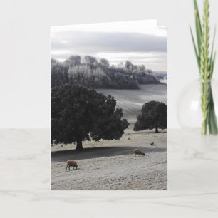 Cartes Pour Fêtes Annuelles Un matin glacé