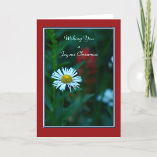 Cartes Pour Fêtes Annuelles Un Noël Joyeux, Fleur sauvage de la marguerite bla