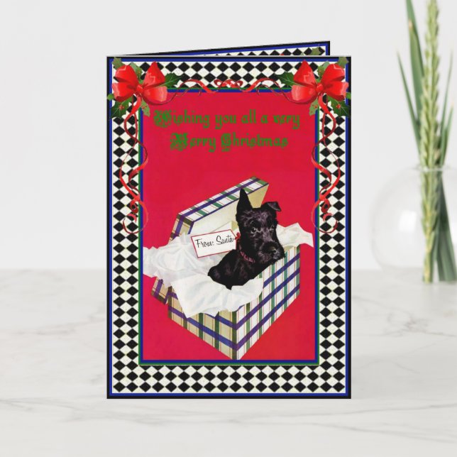 Cartes Pour Fêtes Annuelles Un Noël Schnauzer (Devant)
