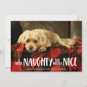 Cartes Pour Fêtes Annuelles Un Petit Coquin Photo