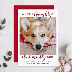 Cartes Pour Fêtes Annuelles Un Petit Coquin Photo Personnalisée De Chien
