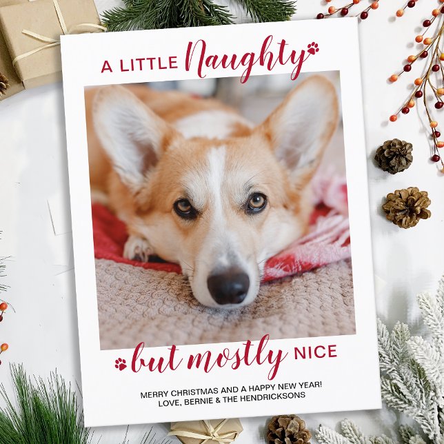 Cartes Pour Fêtes Annuelles Un Petit Coquin Photo Personnalisée De Chien (Créateur téléchargé)