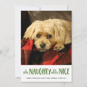 Cartes Pour Fêtes Annuelles Un Petit Coquin   Vert   Photo verticale