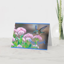 Un printemps heureux pour colibri