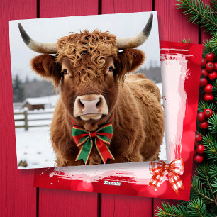 Cartes Pour Fêtes Annuelles Une douce vache des Highlands lors d'une journée d