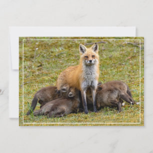 Cartes Pour Fêtes Annuelles Une fête de maman