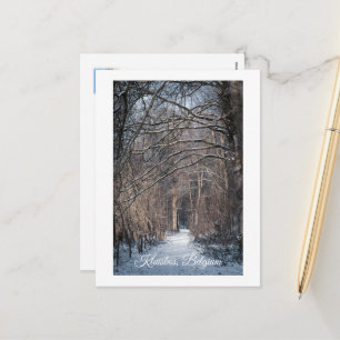 Cartes Pour Fêtes Annuelles Une journée d'hiver à Kluisbos en Belgique