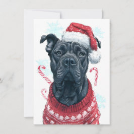 Cartes Pour Fêtes Annuelles Unique Christmas Cards