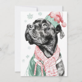 Cartes Pour Fêtes Annuelles Unique Dog Christmas Cards