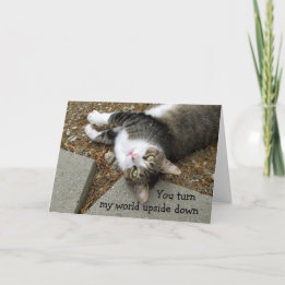 Cartes Pour Fêtes Annuelles Upside Down World Chat Valentine's Day Card