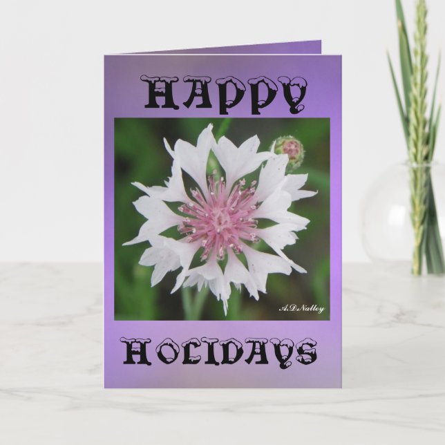 Cartes Pour Fêtes Annuelles Vacances (Devant)