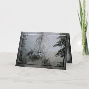 Cartes Pour Fêtes Annuelles Vacances à feuillage persistant