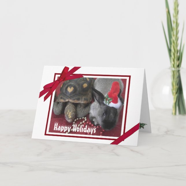 Cartes Pour Fêtes Annuelles Vacances Amis Rabbit & Tortoise Photo Tellement mi (Devant)