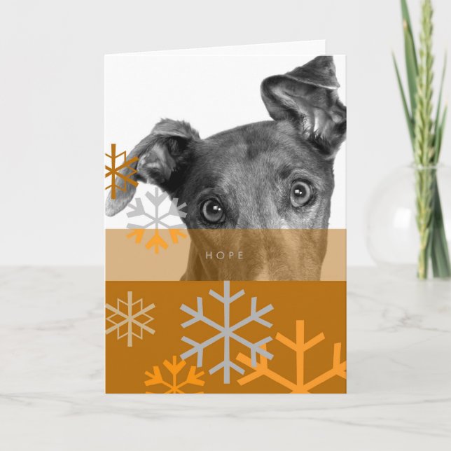 Cartes Pour Fêtes Annuelles Vacances Card_7 (Devant)