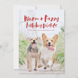 Cartes Pour Fêtes Annuelles Vacances chaudes et floues souhaits amusant animal