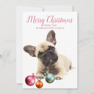 Cartes Pour Fêtes Annuelles Vacances de chien personnalisées   Chiffre de taur