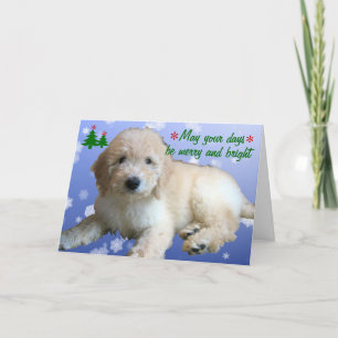 Cartes Pour Fêtes Annuelles Vacances d'or blanches de Noël de griffonnage
