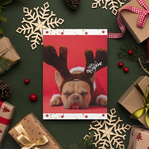 Cartes Pour Fêtes Annuelles Vacances Français Bulldog mignon chien Noël
