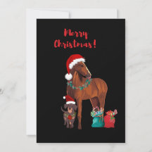 Vacances Noël Cheval Et Chien