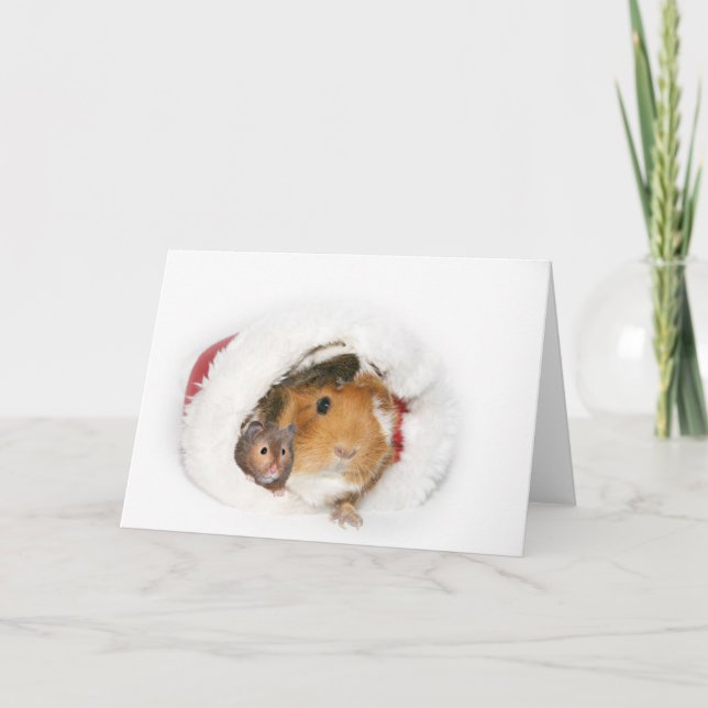 Cartes Pour Fêtes Annuelles Vacances paisibles (Devant)