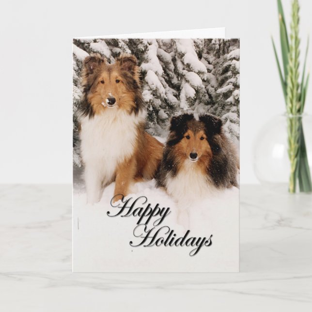 Cartes Pour Fêtes Annuelles Vacances Shelties (Devant)