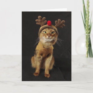 Cartes Pour Fêtes Annuelles Vacances somaliennes de chat de jeux de renne