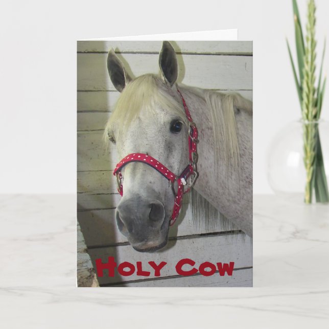 CARTES POUR FÊTES ANNUELLES VACHE SAINTE ***MERCI NOËL**** À VOUS (Devant)