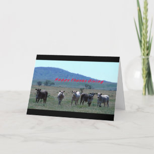 Cartes Pour Fêtes Annuelles Vaches à thanksgiving