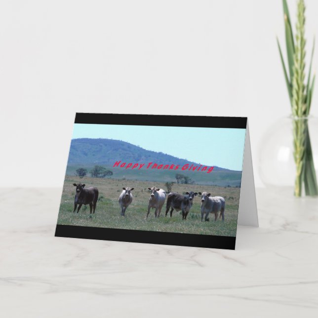Cartes Pour Fêtes Annuelles Vaches à thanksgiving (Devant)