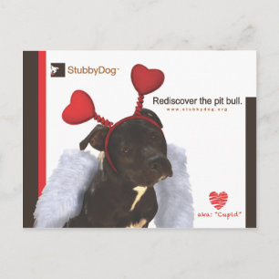 Cartes Pour Fêtes Annuelles Valentin StubbyDog #2
