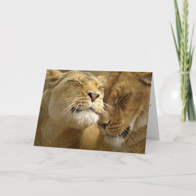 Cartes Pour Fêtes Annuelles Valentine (Devant)