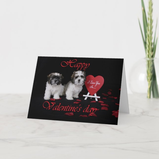 Cartes Pour Fêtes Annuelles valentine (Devant)